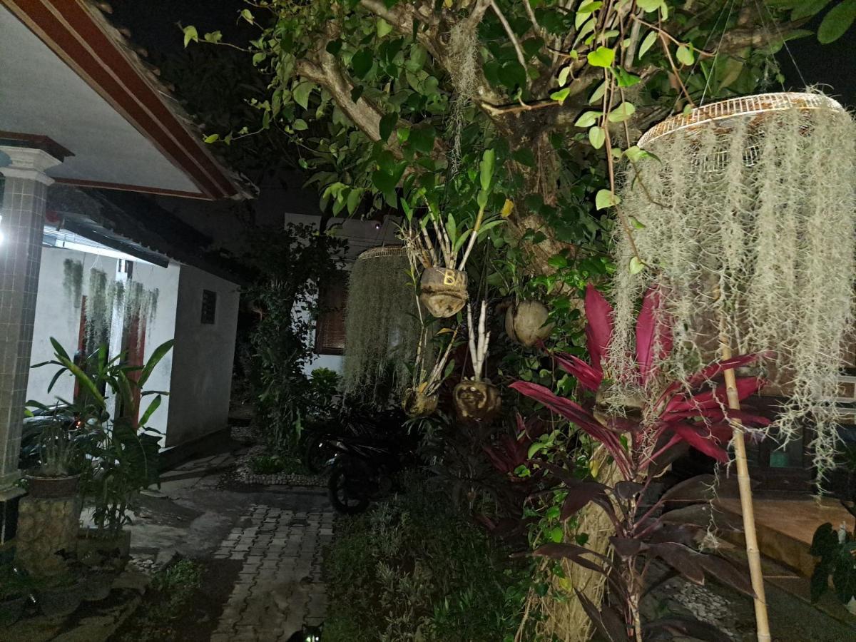 Ascarya Guest House Sanur Dış mekan fotoğraf