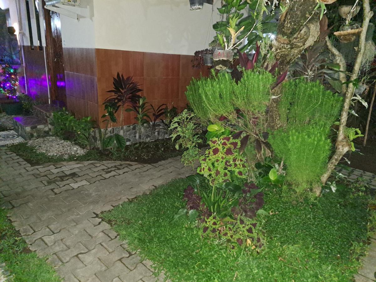 Ascarya Guest House Sanur Dış mekan fotoğraf