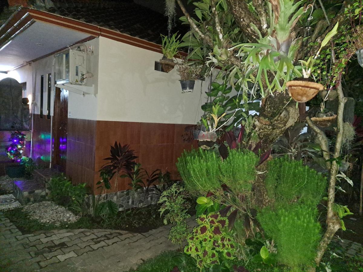Ascarya Guest House Sanur Dış mekan fotoğraf