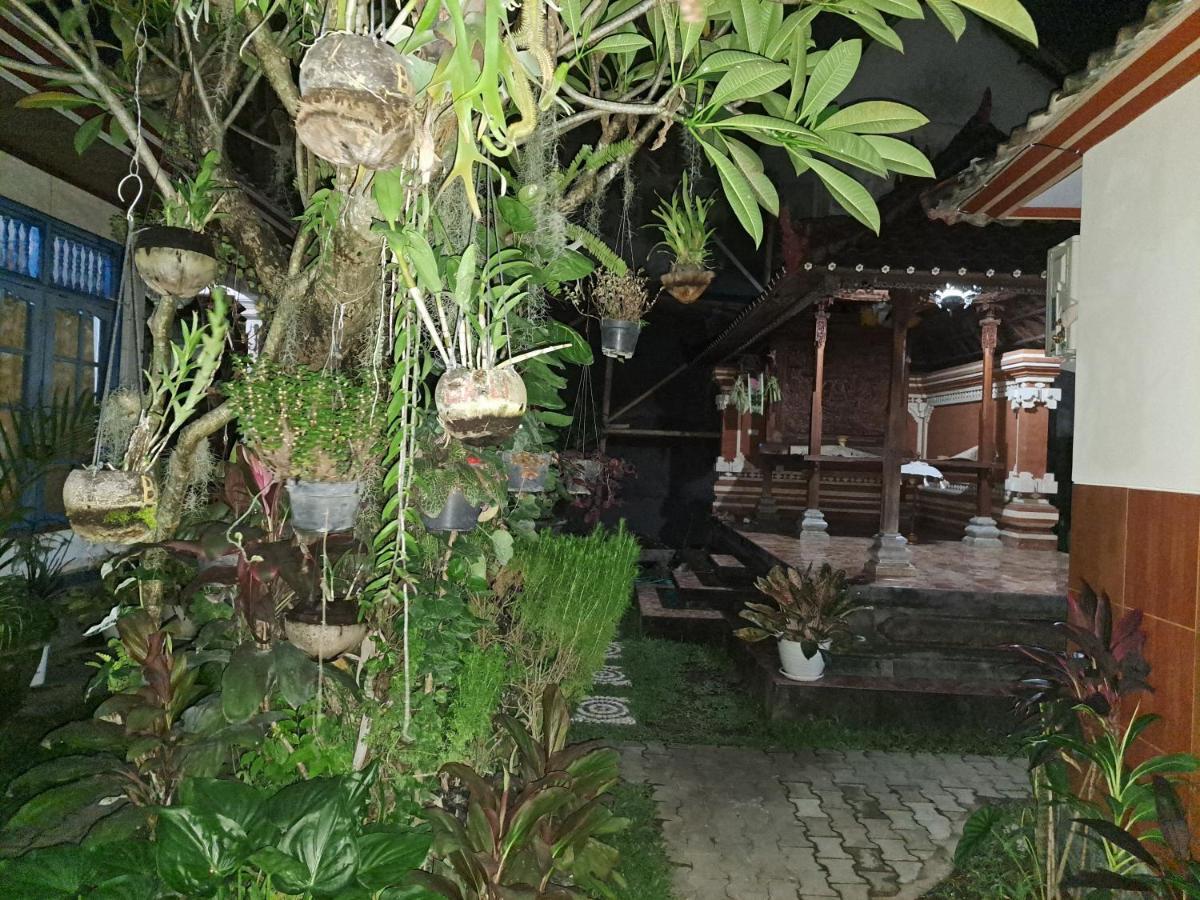 Ascarya Guest House Sanur Dış mekan fotoğraf