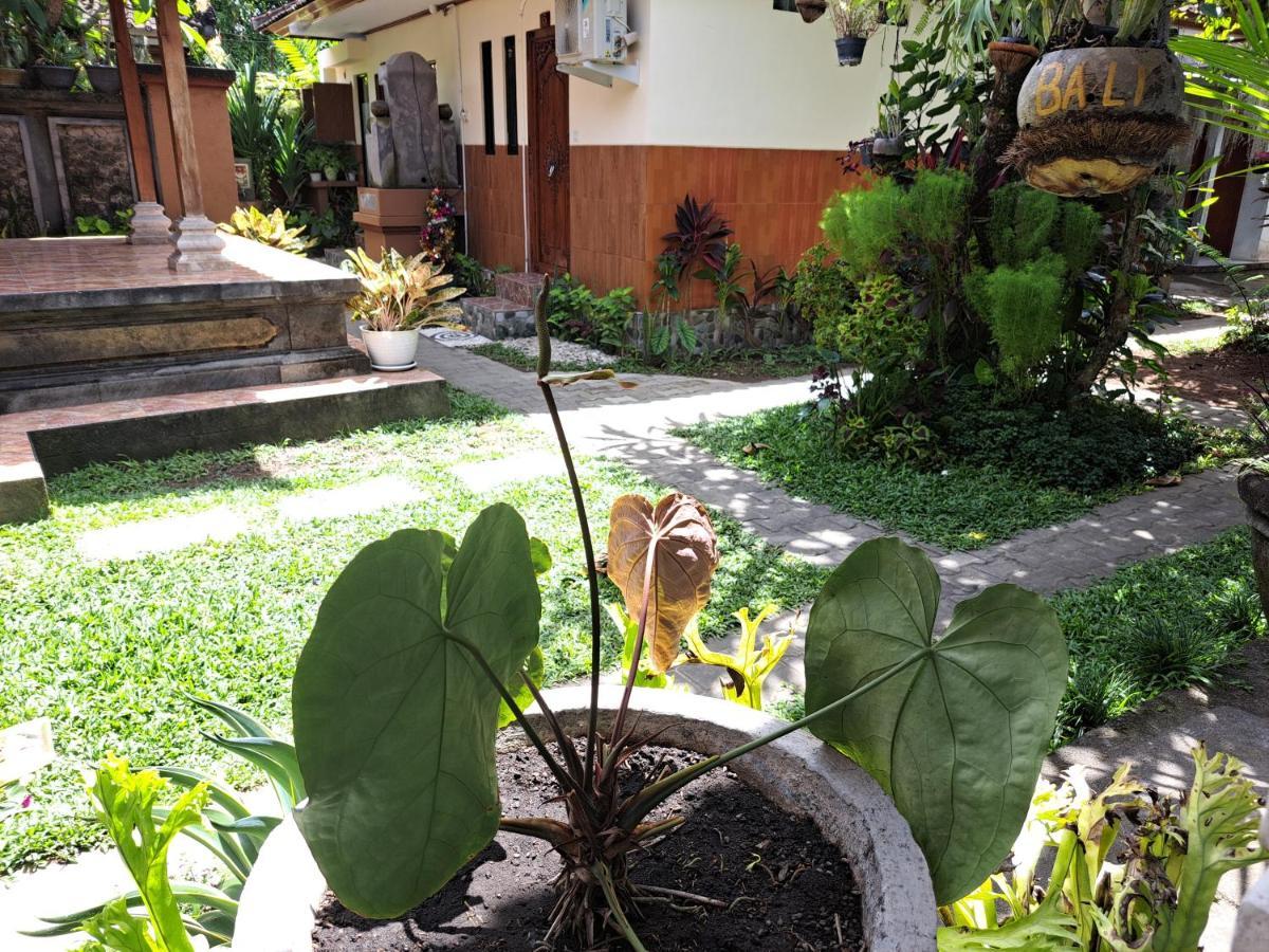 Ascarya Guest House Sanur Dış mekan fotoğraf