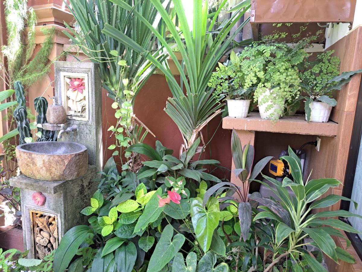 Ascarya Guest House Sanur Dış mekan fotoğraf